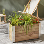 Cerland Bambou Outdoor Rectangular Wooden Planters 3 Size Options