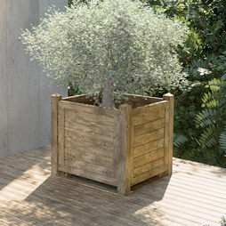 Cerland Iberia Olive Tree Planter 1m x 1m
