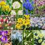 Spring Bulb Saver Bundle