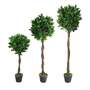 90cm (3ft) Twist Natural Trunk Artificial Topiary Bay Laurel Ball Tree