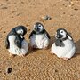 Set 3 Baby Penguin Garden Ornaments