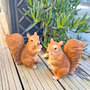 Pair of Realistic Red Squirrel Garden Animal Ornaments