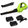 Garden Gear 3-in-1 Blower, Vacuum and Shredder with 2×20V Li-ion Battery
