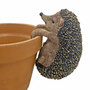 Pot Hanging Hedgehog Garden Ornament