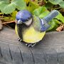 Blue Tit Garden Bird Ornament Outdoor Statue British Bird Decoration