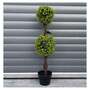 90cm Green Double Ball Topiary Tree