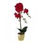 50cm Phalaenopsis Orchid Artificial - Red Leopard - Gold Pot