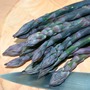 Asparagus officinalis 'Pacific Purple' (Spring Planting)