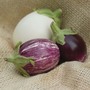 Aubergine 'Patio Mixed' F1 Hybrid