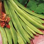 Runner Bean 'Scarlet Emperor' - Seeds
