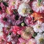 Poppy 'Angels Choir Mixed' - Seeds