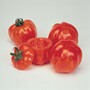 Tomato 'Striped Stuffer' - Heritage
