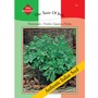 Parsley 'Prezzemolo Gigante d'Italia' -Vita Sementi® Italian Seeds
