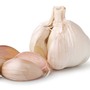 Garlic 'Flavor' (Spring Planting)