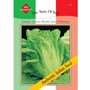 Lettuce 'Bionda Lenta a Montare' (Romaine) - Vita Sementi® Italian Seeds