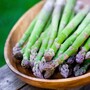 Asparagus officinalis 'Pacific Challenger' (Spring Planting)