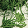 Pea 'Ceresa' (Petit Pois)
