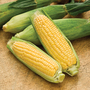 Sweetcorn 'Picnic'