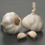 Garlic 'Solent Wight' (Spring/Autumn Planting)