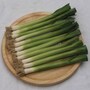 Leek 'Nipper'