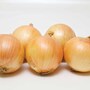 Onion 'Vulcan' (Spring Planting)