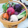 Beetroot 'Rainbow Beet' (Globe) - Seeds