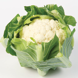 Cauliflower 'White Step' F1 Hybrid (Autumn) - Seeds