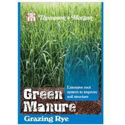 Green Manure 'Grazing Rye' - Seeds