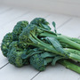 Broccoli 'Sibsey' (Bellaverde®) F1 Hybrid (Calabrese)
