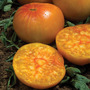 Tomato 'Ananas' - Seeds