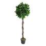 120cm (4ft) Twist Natural Trunk Artificial Topiary Bay Laurel Ball Tree