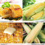 Sweetcorn 'Summer/Autumn Season'