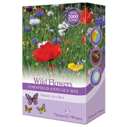 Wildflowers 'Cornfield Annuals Mix' - Seed Scatter Pack