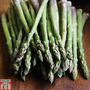 Asparagus officinalis 'Ariane' (Spring Planting)