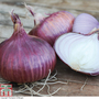 Onion 'Red Baron' (Spring Planting)