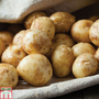 Potato 'Lady Christl'