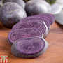 Potato 'Salad Blue'