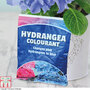 Hydrangea Colourant