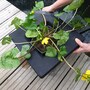 Floating Aquatic Planting Basket (35cm)