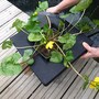 Floating Aquatic Planting Basket