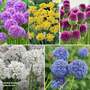 Allium World Collection