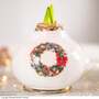 Amaryllis Touch Of Wax 'Wreath' - Gift