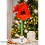 Amaryllis Touch Of Wax 'Stag' - Gift