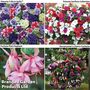 Annual Favourites Mix
