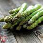 Asparagus officinalis 'Mondeo' (Spring Planting)