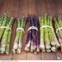Nurserymans Choice Asparagus
