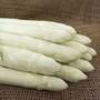 Asparagus 'Rakete' F1
