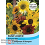 Sunflower 'Beaches Mix' - Seeds