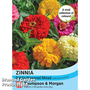 Zinnia 'Dahlia Flowered Mixed' - Seeds