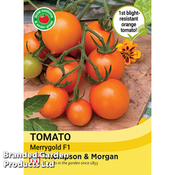 Tomato 'Merrygold' F1 - Seeds
